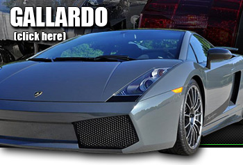 Gallardo